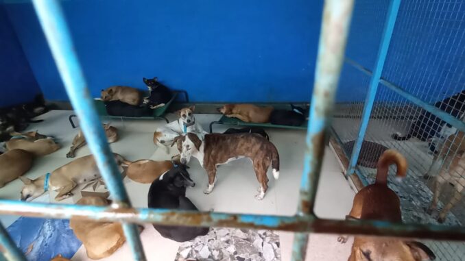 IMG-20210827-WA0017