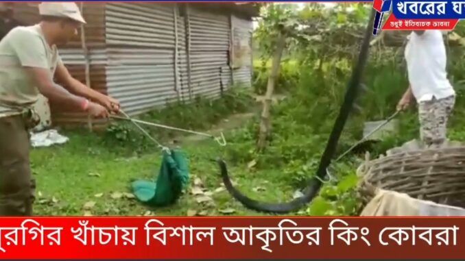Screenshot_20221013-093334_Facebook