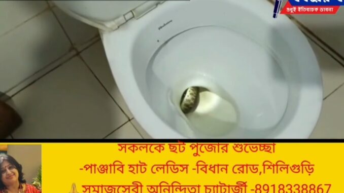 Screenshot_20221030-100304_Facebook