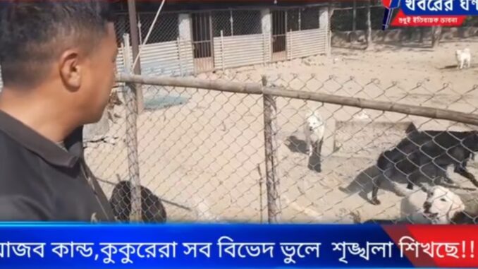 Screenshot_20221211-083537_Facebook