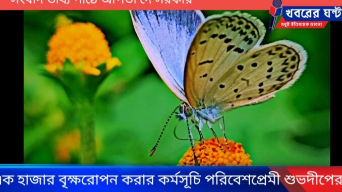 Screenshot_20230601_101823_Gallery
