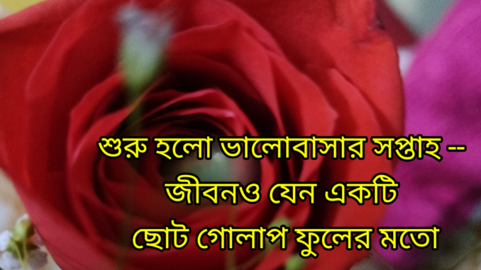 kmc_20240208_100006